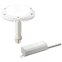 LEDアイランプSP129W（昼白色） 電源ユニットセット50Hz用 LDRS-H400／2A 1個 岩崎電気（直送品）