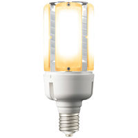LEDioc LEDライトバルブF 124W電球色（水銀ランプ400W相当） LDS124L-G