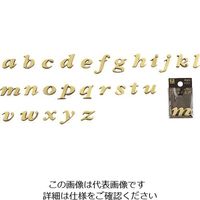 光（ヒカリ） 光 真鍮ゴールド文字 小文字 e QS20-E 1セット（5枚） 223-6557（直送品）
