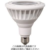 畑屋製作所 ハタヤ LED作業灯 20W交換球電球色ビームタイプ LDR20L-W60 1個 126-4994（直送品）
