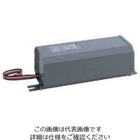 岩崎電気 岩崎 水銀ランプ用安定器 1000W200V 60Hz H10CC2B51 1台 805-2916（直送品）