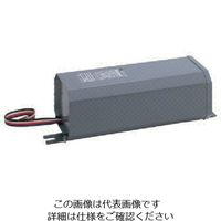 岩崎電気 岩崎 水銀ランプ用安定器 300W100V 50Hz H3TC1A（B）51 1台 805-2811（直送品）