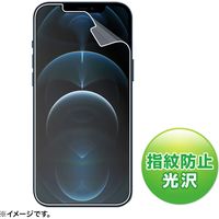 サンワサプライ iPhone 12 Pro Max用液晶保護指紋防止光沢フィルム PDA-FIPH20PMFP 1枚（直送品）