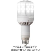 岩崎電気 岩崎 LEDioc LEDライトバルブF （昼白色） （E39口金形）