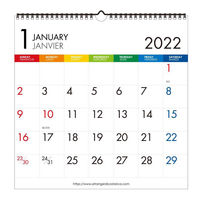 エトランジェ・ディ・コスタリカ 【2022年版】LP 壁掛けカレンダー CLS-A