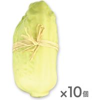 【インテリア・おしゃれ・雑貨】みはし 野菜オブジェ フェイクフードインテリア 白菜 10個セット NAC102 10個入（直送品）