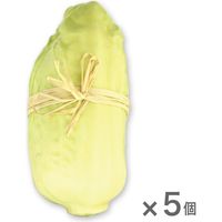 【インテリア・おしゃれ・雑貨】みはし 野菜オブジェ フェイクフードインテリア 白菜 5個セット NAC502 5個入（直送品）