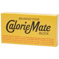 大塚製薬 カロリーメイト ブロック チーズ味 2本×20 6509141 1ケース（20入）（直送品）