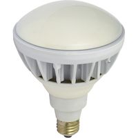 日動工業 LED交換球 L20W-JW110-50K（直送品）