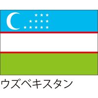 アスクル 世界の国旗 服部 応援 装飾用旗 ウズベキスタン 105 70cm ポンジ 1枚 直送品 通販 Askul 公式