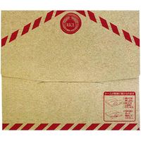 【袋・包装資材（米袋）】マルタカ 1190 メール便用 宅配ケース 1梱包（100枚入）（直送品）