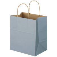 スーパーバッグ 丸紐 ニュアンスカラー手提紙袋 ML（幅260×高さ300×マチ幅180mm） クールグレー  1袋（50枚入）