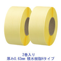 積水樹脂 PPバンド Hタイプ 梱包機用 幅15.5mm×2500m巻 黄 15.5HY 1セット（4巻：2巻入×2）（直送品）
