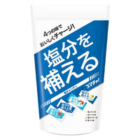スマチャ！ 塩キャンディー4種アソート 1袋（ 500g）鈴木栄光堂 塩飴