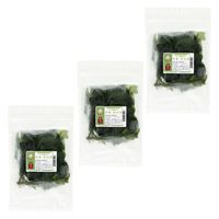(株)リーフ Leaf Corp 冷凍国産空芯菜 ５０ｇ×３個セット 213651 1セット（直送品）