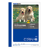 日本ノート かんがえる学習帳 A6こづかい帳 A70 10冊（直送品）