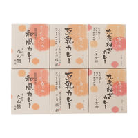 AoyamaLab ギフトカード 手土産 お祝い 賞品 贈り物に カレーで巡る京の味(6食セット) 二重封筒（直送品）