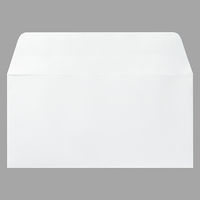 G.ラロ ヴェルジェ・ド・フランス 封筒 A4三つ折り ホワイト gl46100 1パック