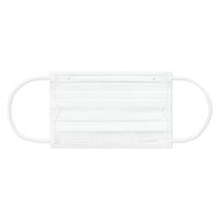 アイリスオーヤマ 不織布プリーツマスク 小さめ ６０枚入 ホワイト PN-NC60S 1箱（60枚入り）（直送品）