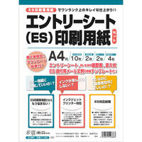 日本法令 エントリーシート（ES）印刷用紙セット 労務11-80（取寄品）