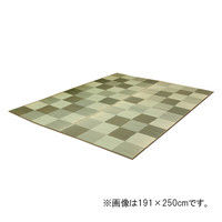 イケヒコ 純国産 い草ラグカーペット 『Fブロック2』 グリーン 約140×200cm（裏：ウレタン） 1枚（直送品）