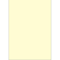 ササガワ タカ印 手作り賞状作成用紙 クリーム A3判 10-1969 50枚（10枚袋入×5冊袋入）（取寄品）