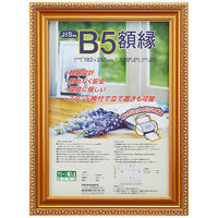 ナカバヤシ 樹脂製賞状額 金ケシ B5 フ-KWP-31 10枚（直送品）