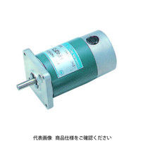 澤村電気工業 DCモータ SS40E6-H4-180-DC100V 1個（直送品）