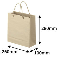 スーパーバッグ ナチュラルカラー手提袋 丸紐 ベージュ S 1袋(5枚)