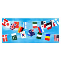 東京製旗 連続万国旗・20ヵ国・ポリエチレン製（28×35ｃｍ） 49622 1セット（直送品）