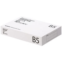 アスクル領収証用紙 B5ミシン目入 白色 無地 1箱（500枚入） オリジナル（わけあり品）