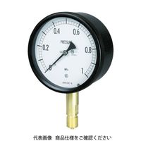 第一計器製作所 MPPプラ密閉型圧力計(要部SUS S-AU1/2-100:0.06MPA-