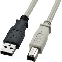 サンワサプライ USB2.0ケーブル（5m） KU20-5K2 1本（直送品）