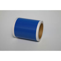ノーブランド ビーポップ対応カラーシート 100タイプ 10m 屋内用 ブルー（青）（わけあり品）