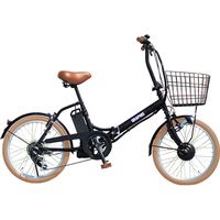 池商 GR-MAX　電動アシスト自転車２０インチ GR-EFB206-BKCR　1台（直送品）