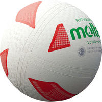 ソフトバレーボール 検定球 白赤緑 0 2球 MT S3Y1200WX モルテン（直送品）