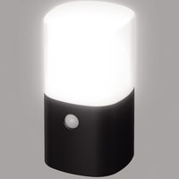 園芸用品　乾電池式LEDガーデンセンサーライト　角型　ZSL-MN1K-BK　アイリスオーヤマ　1個　（直送品）