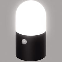 園芸用品　乾電池式LEDガーデンセンサーライト　丸型　ZSL-MN1M-BK　アイリスオーヤマ　1個　（直送品）
