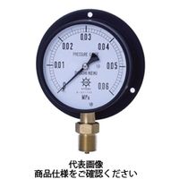 第一計器製作所 IPT一般圧力計蒸気用 BMU G3/8 150×0.2MPa IPT-361B-0.2MPA-M 1台（直送品）