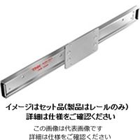 日本アキュライド アキュライド ダブルスライドレール1524.0mm C9301