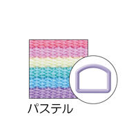 清原 テープ＆Ｄカンセット レインボー パステル SUN56-418 1セット（9袋）（直送品）