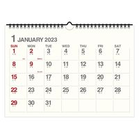 エトランジェ・ディ・コスタリカ 【2023版】A4 壁掛カレンダー CLD-A4-01 1セット（2冊）（直送品）