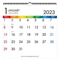 エトランジェ・ディ・コスタリカ 【2023版】LP 壁掛カレンダー CLS-A-12 1セット（2冊）（直送品）