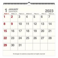 エトランジェ・ディ・コスタリカ 【2023版】LP 壁掛カレンダー CLS-A-11 1セット（2冊）（直送品）