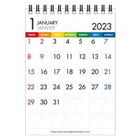 エトランジェ・ディ・コスタリカ 【2023版】A6 卓上カレンダー CLT-B-12 1セット（3冊）（直送品）