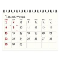 エトランジェ・ディ・コスタリカ 【2023版】B6 卓上カレンダー CLT-G-01 1セット（2冊）（直送品）