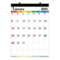 エトランジェ・ディ・コスタリカ 【2023版】A2 壁掛カレンダー CLV-A2-12 1冊（直送品）