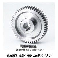 協育歯車工業 平歯車 モジュール3 圧力角20°（並歯） S3S 48A=3030 1個（直送品）