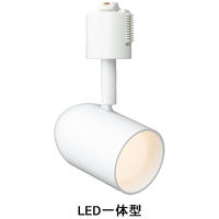 YAZAWA（ヤザワコーポレーション） LEDスポットライト 電球色 SPL06L02