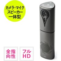 サンワダイレクト カメラ内蔵WEB会議スピーカーフォン 400-MC013 1個（直送品）